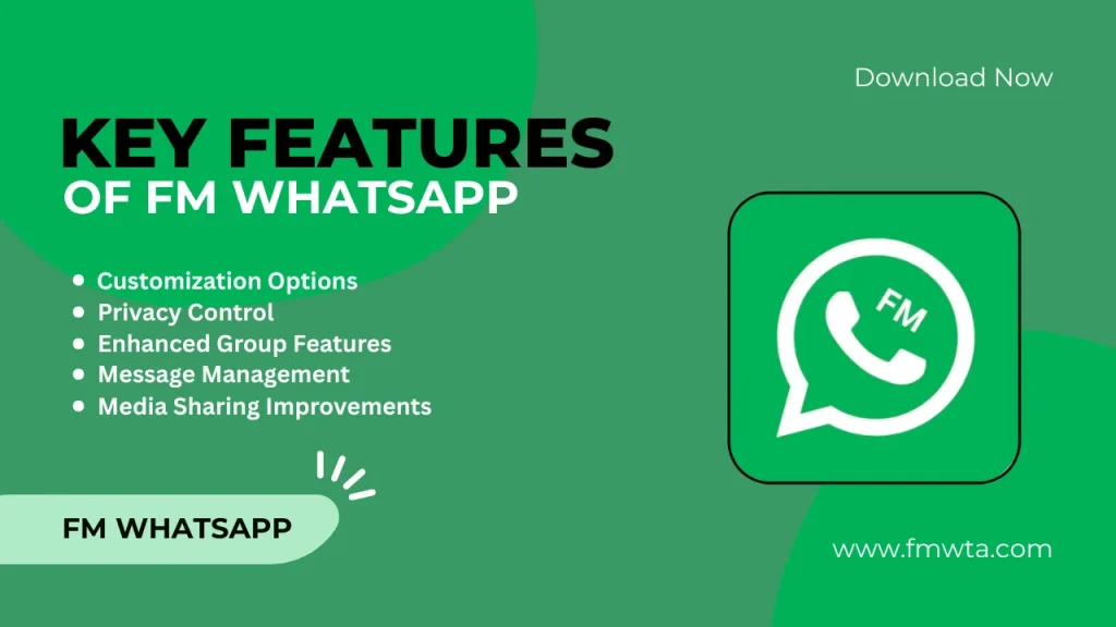Key Features of FM WhatsApp